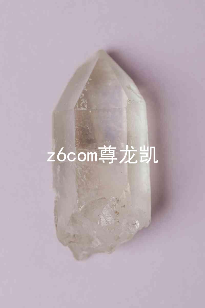 z6com尊龙凯