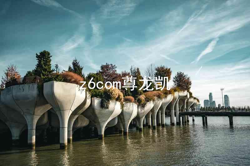 z6com尊龙凯